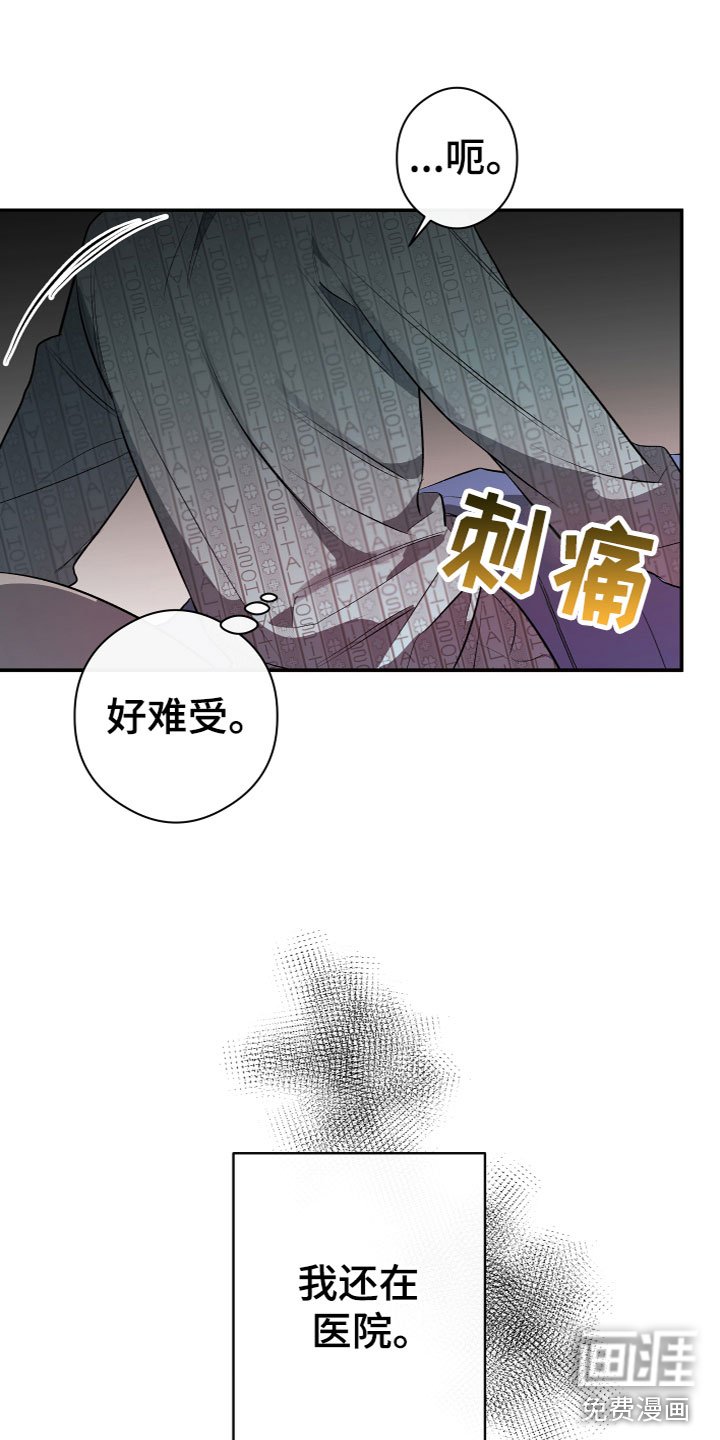 第13章：醒了