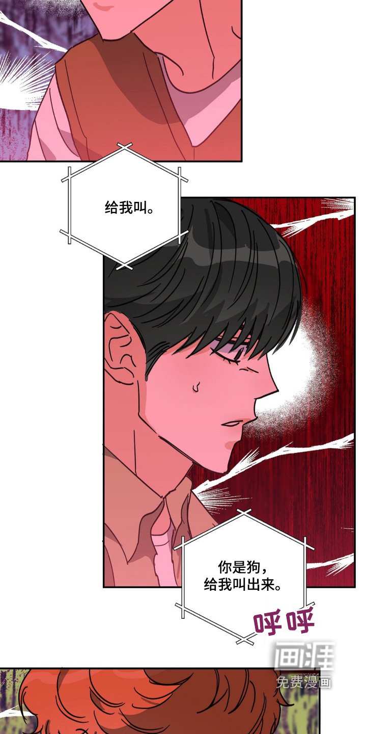 第142章：视频