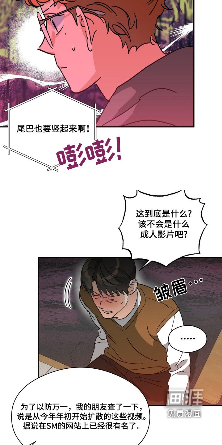第142章：视频