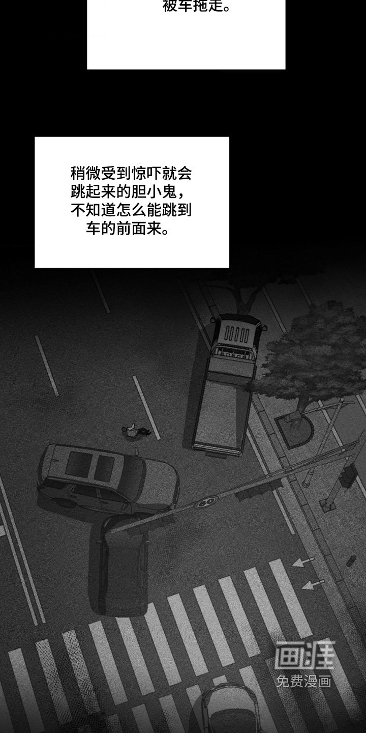 第148章：什么视频
