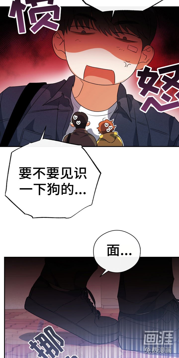 第15章：又回来了