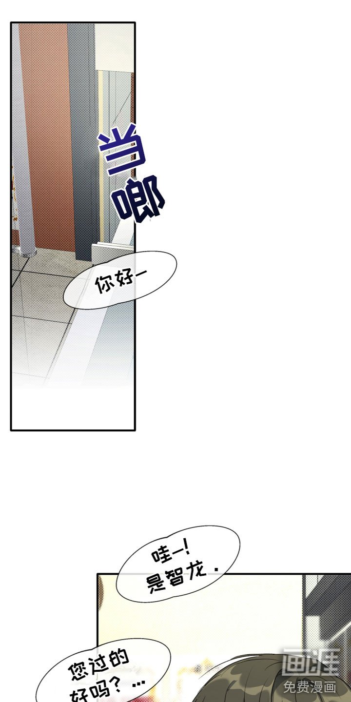 第17章：寻求帮助
