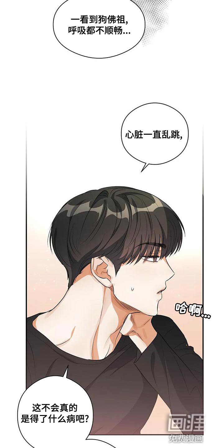 第44章：他好像有点变了