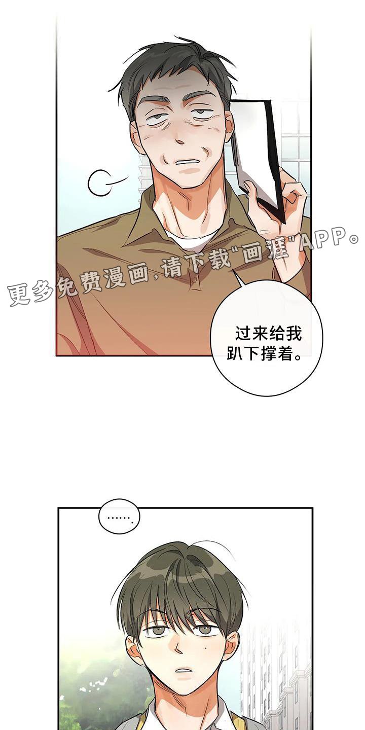 第53章：差异