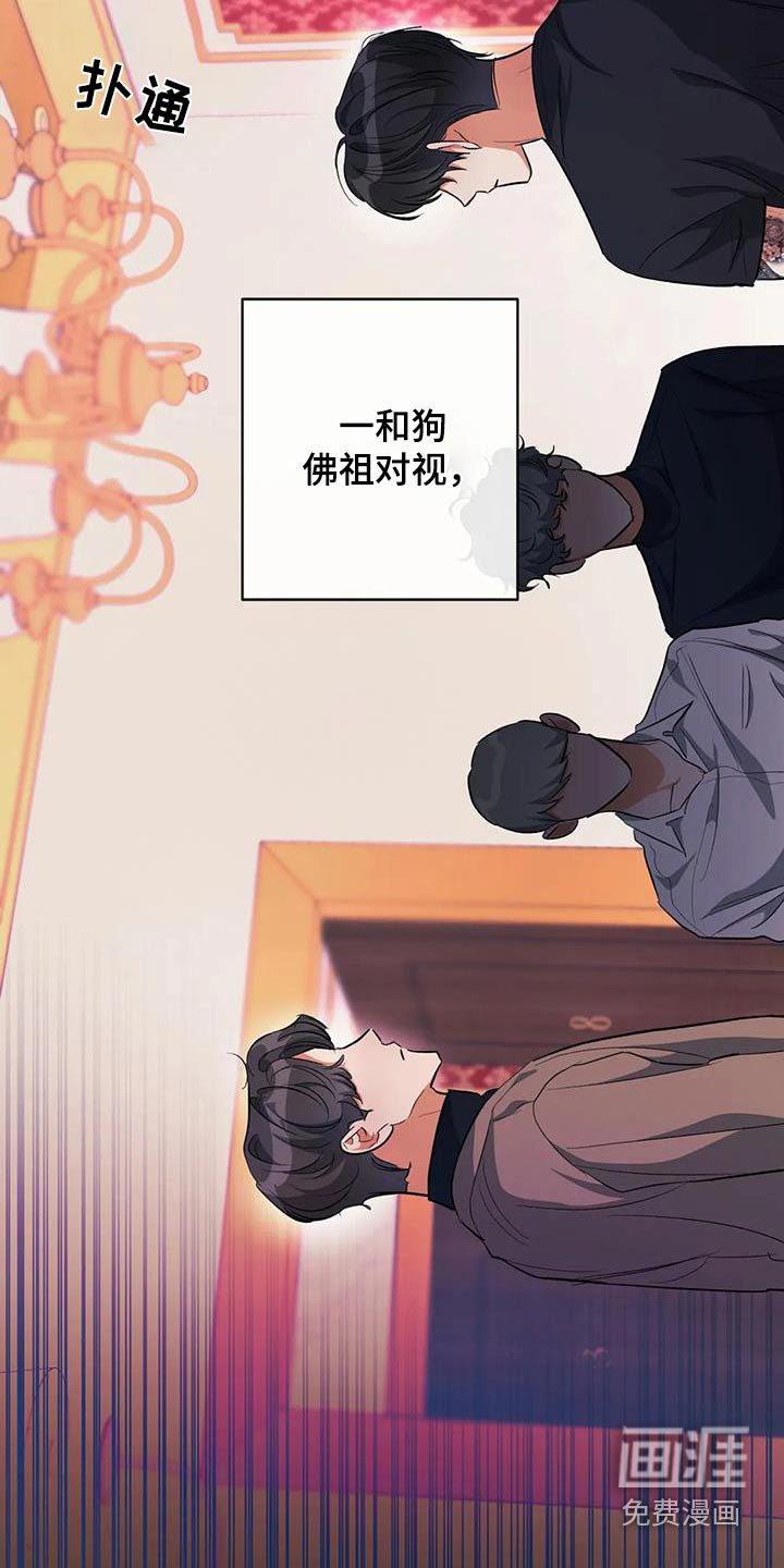 第61章：记忆中