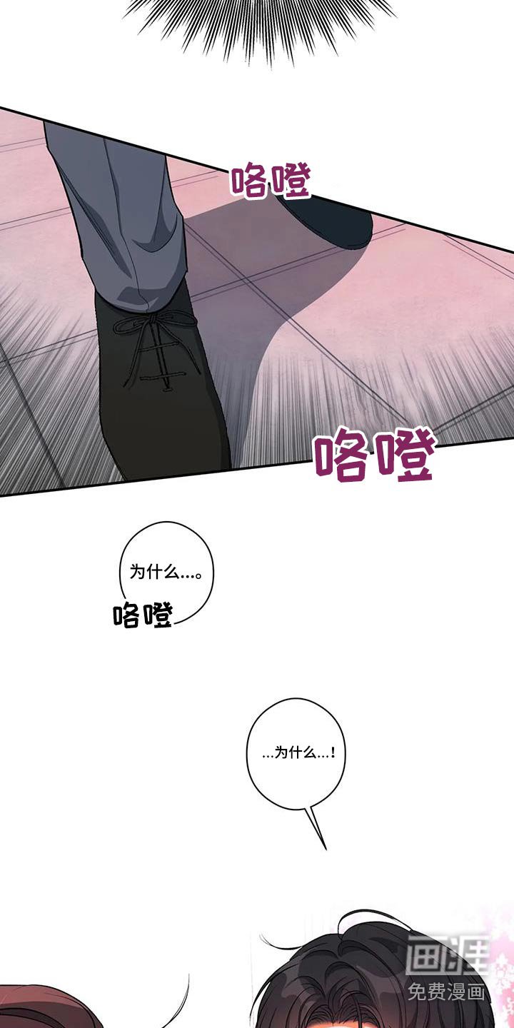 第61章：记忆中