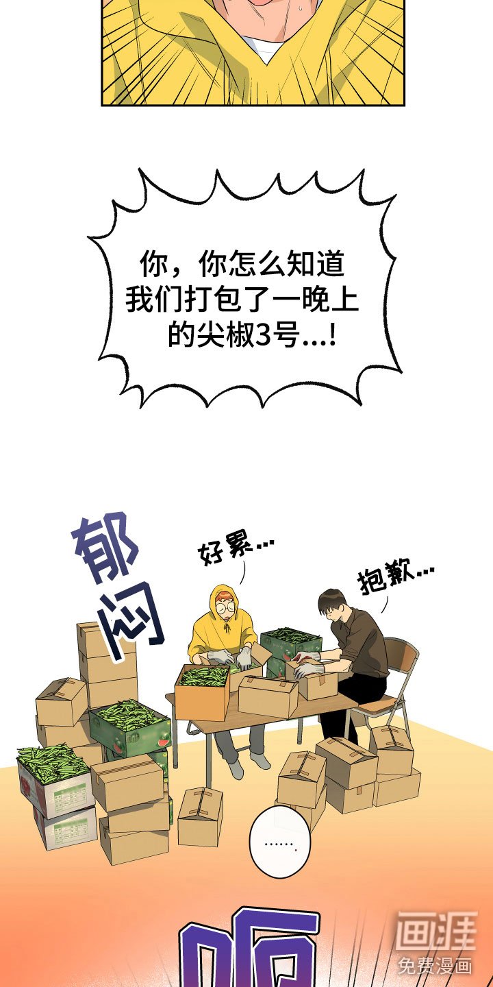 第7章：试探