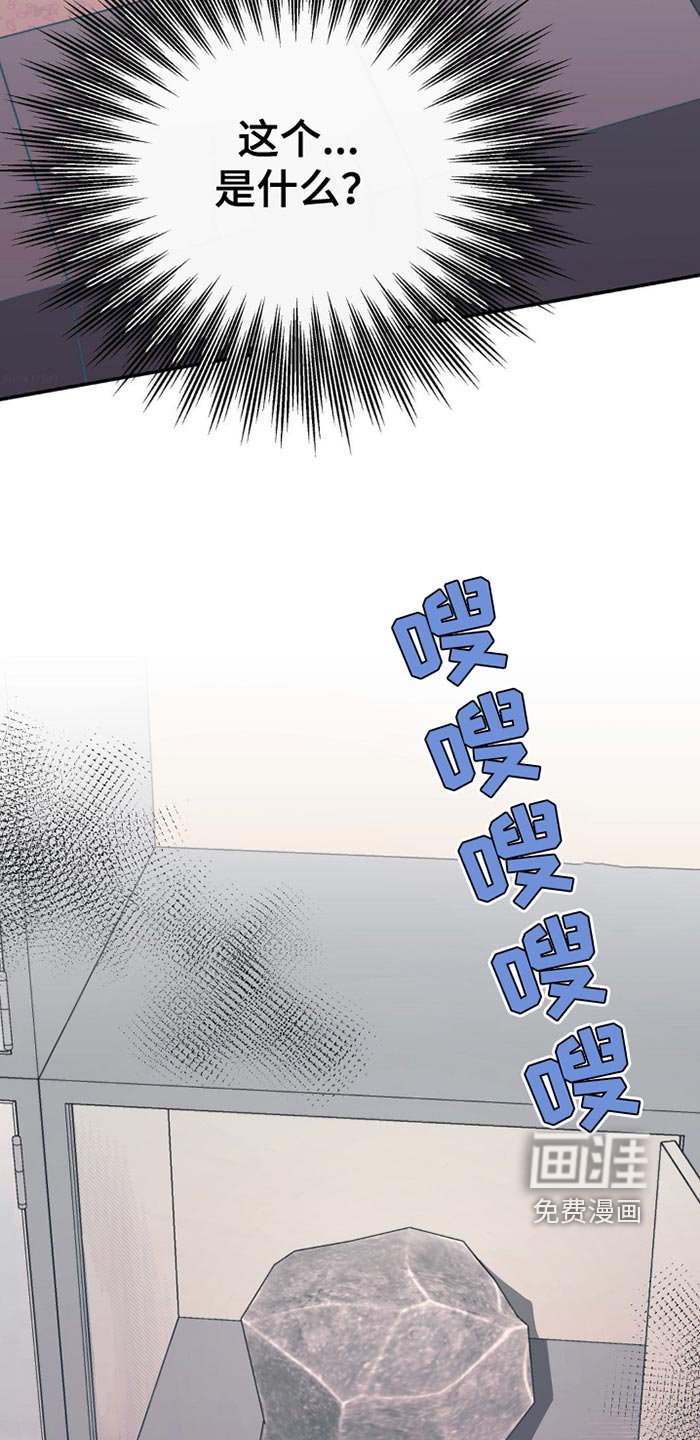 第86章：石头