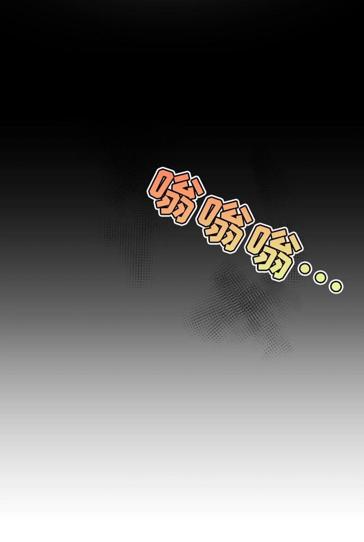 第96章：实话实说