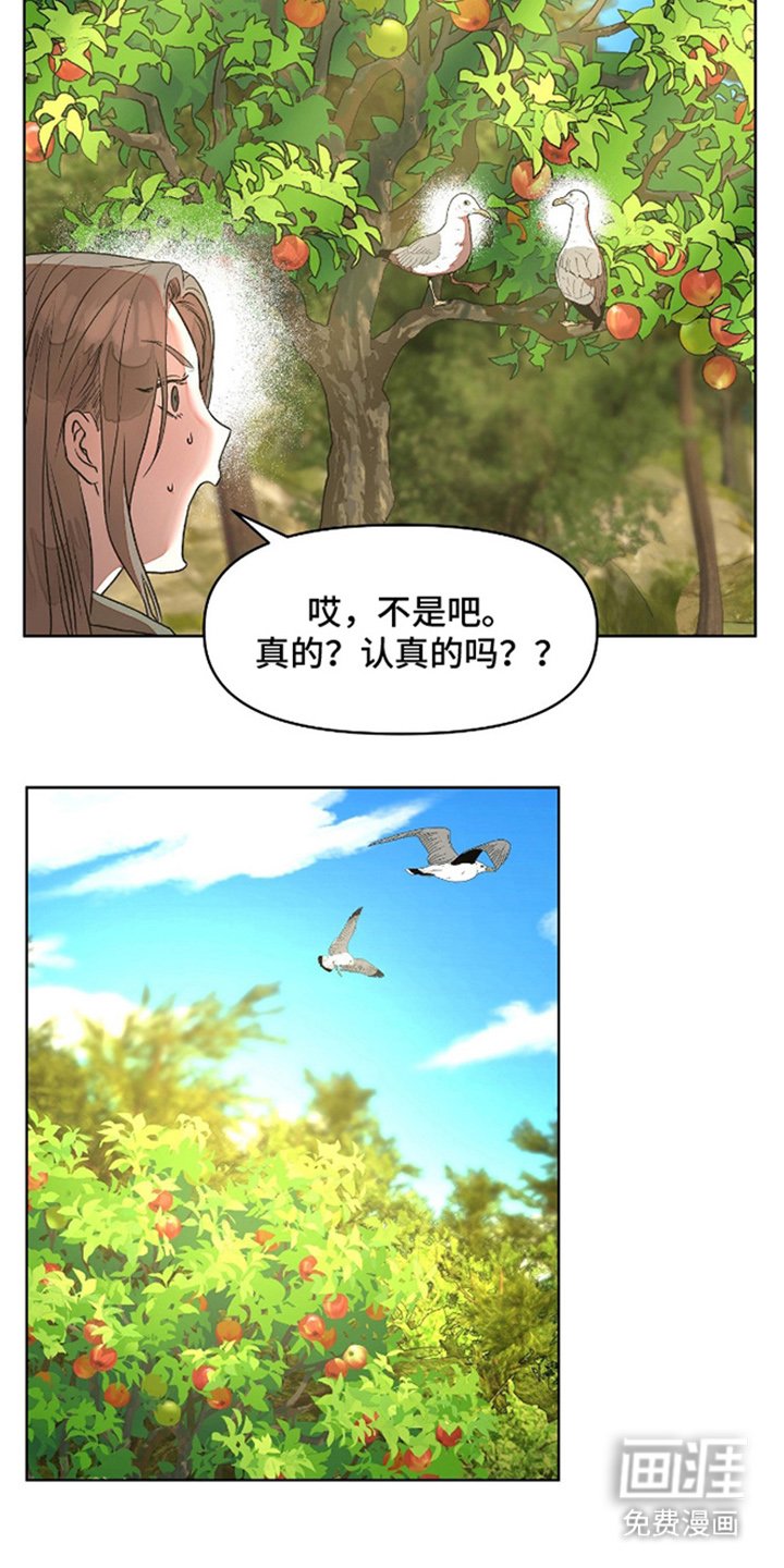 第5章：精华