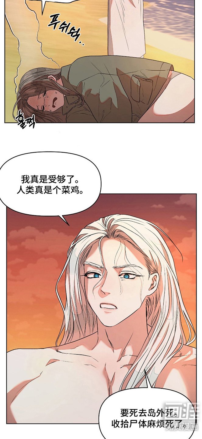 第5章：精华