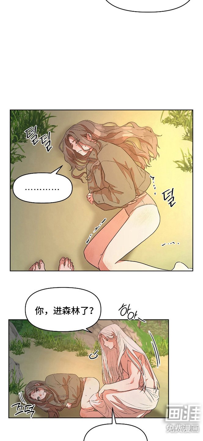 第5章：精华