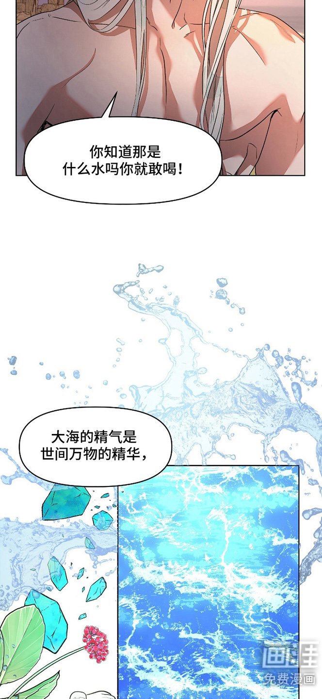 第5章：精华