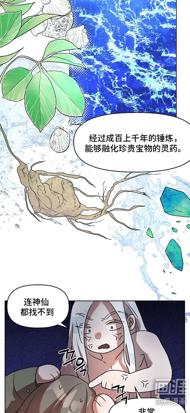 第5章：精华