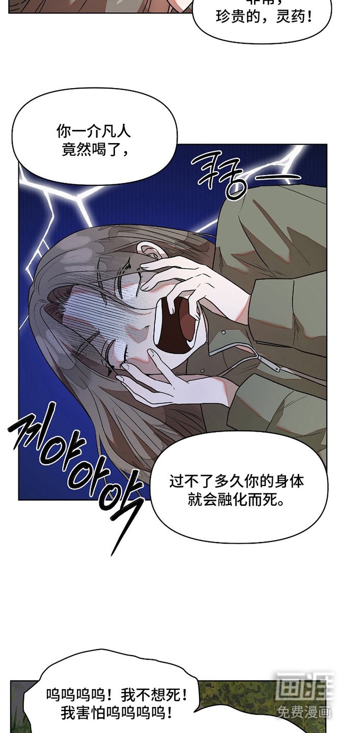 第5章：精华