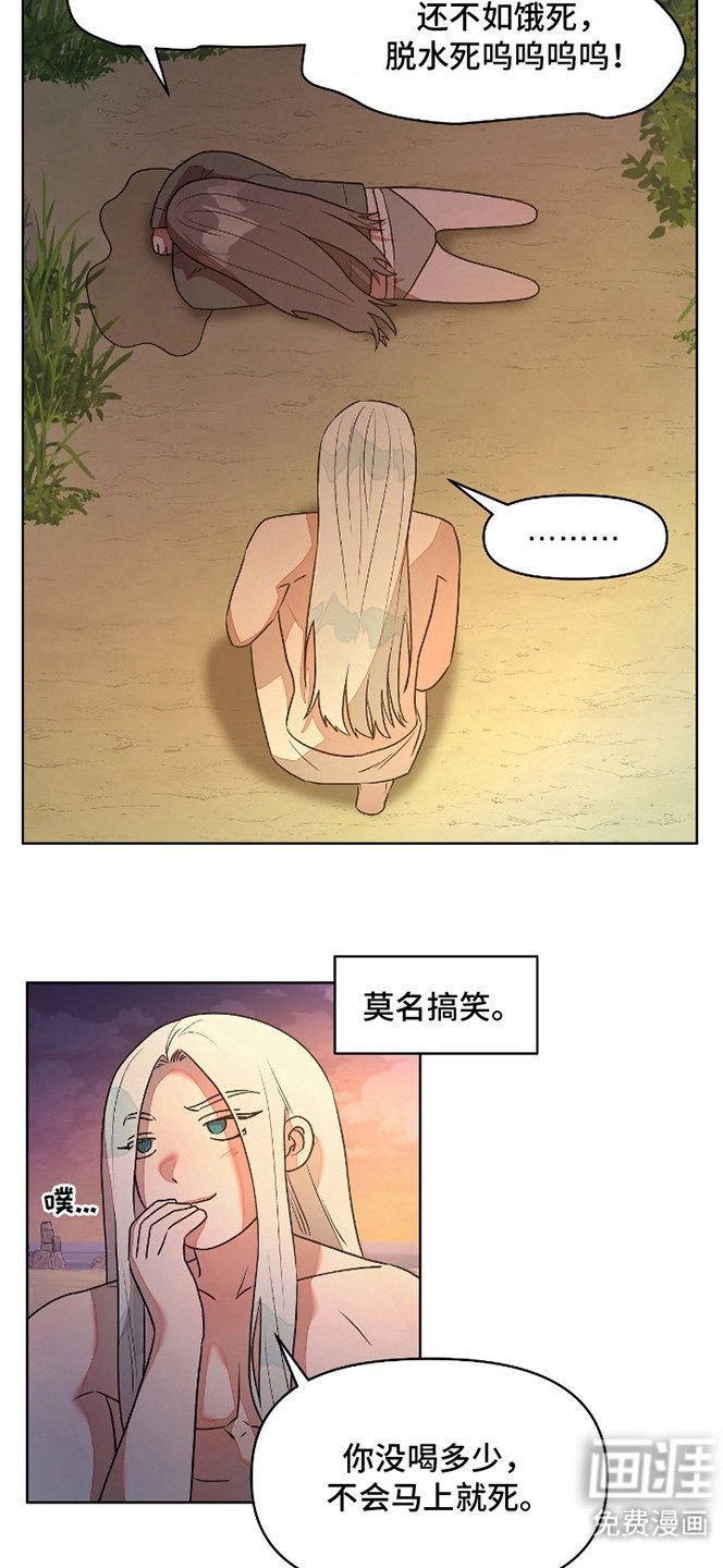 第5章：精华