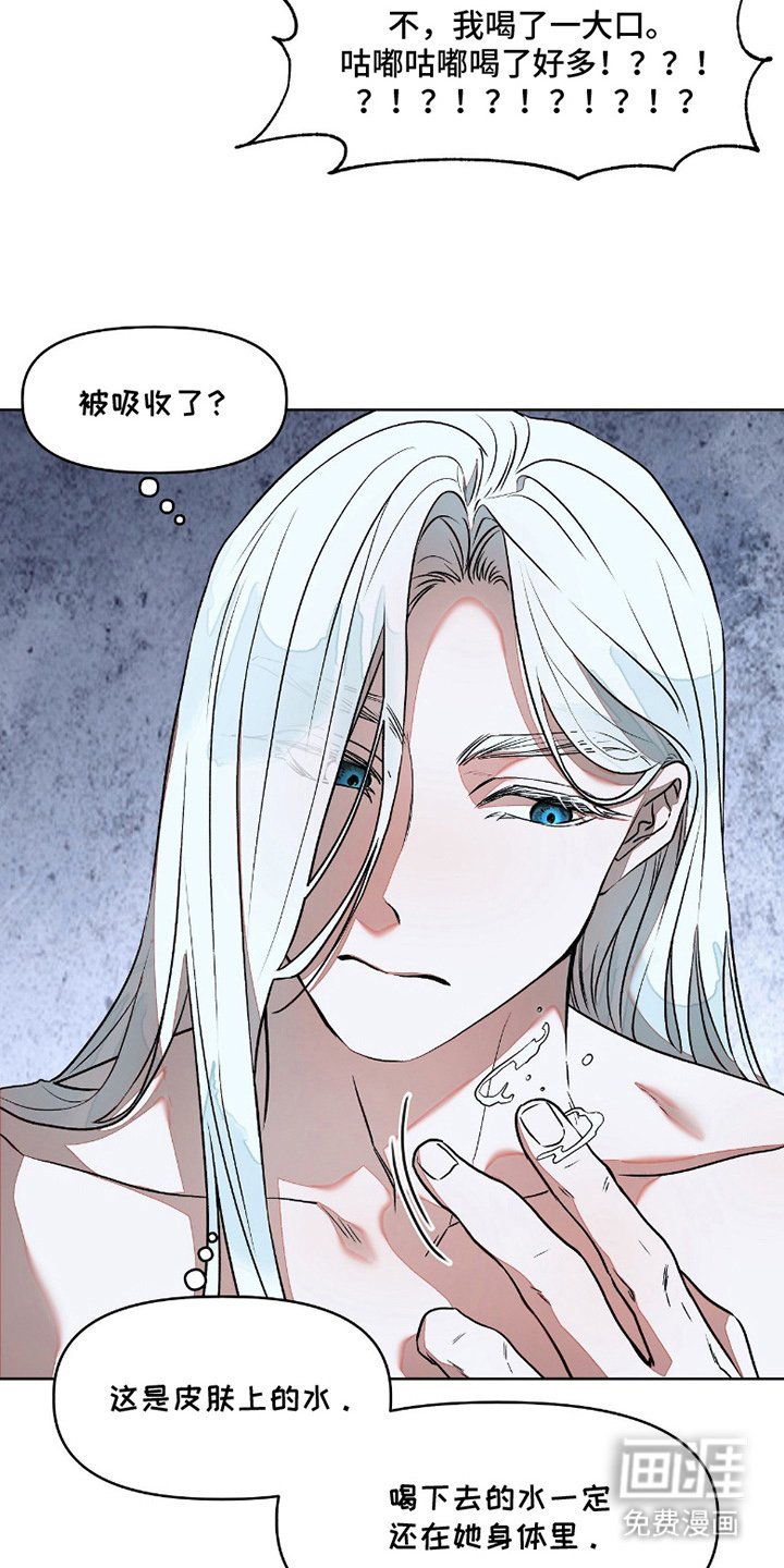 第6章：吸收