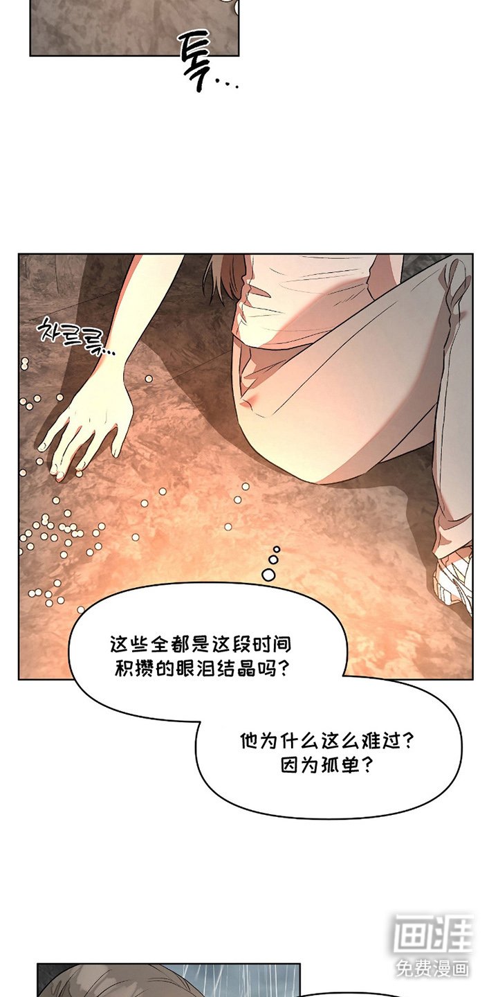 第8章：人鱼的哭声