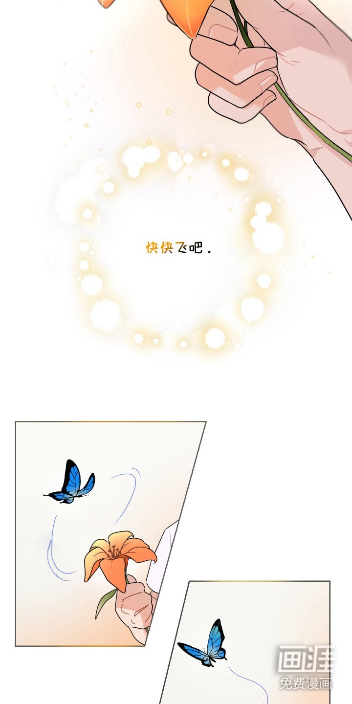 第1章：期待已久