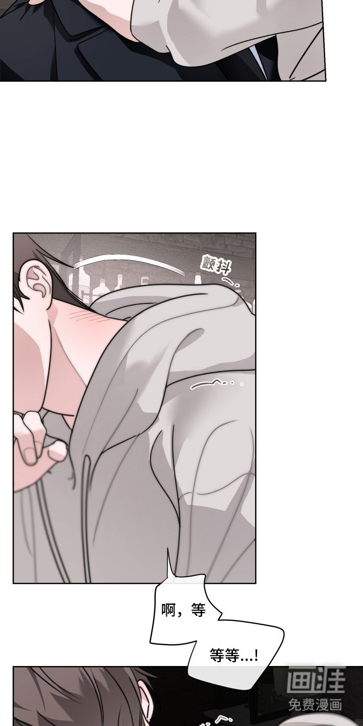 第13章：提议