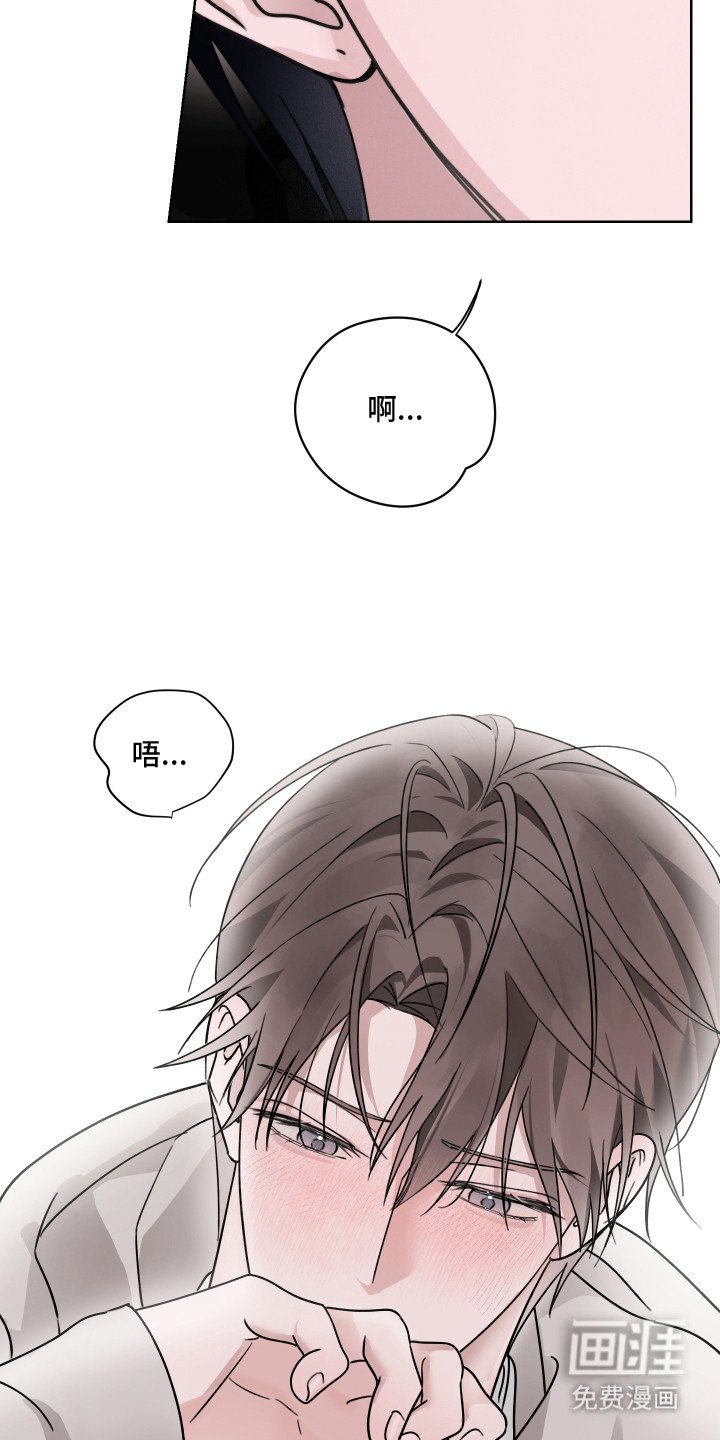 第13章：提议