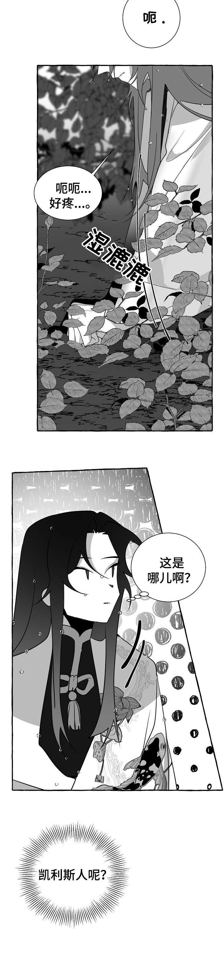 第15章：看看