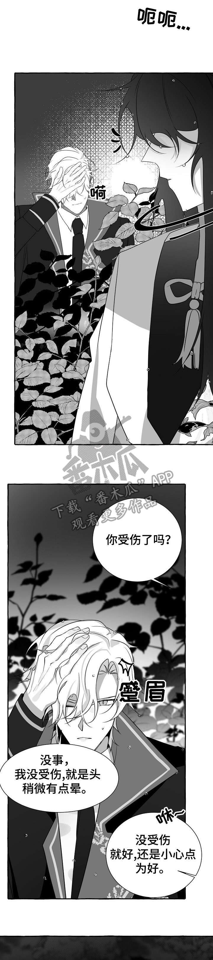 第15章：看看