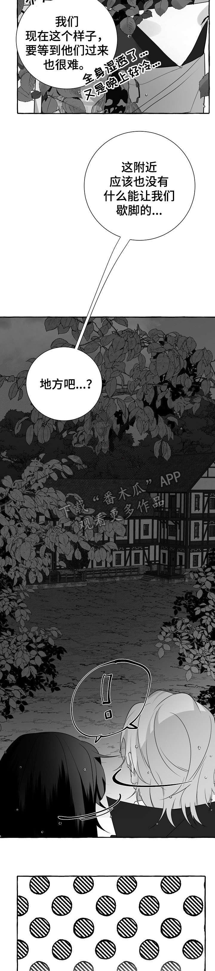 第15章：看看