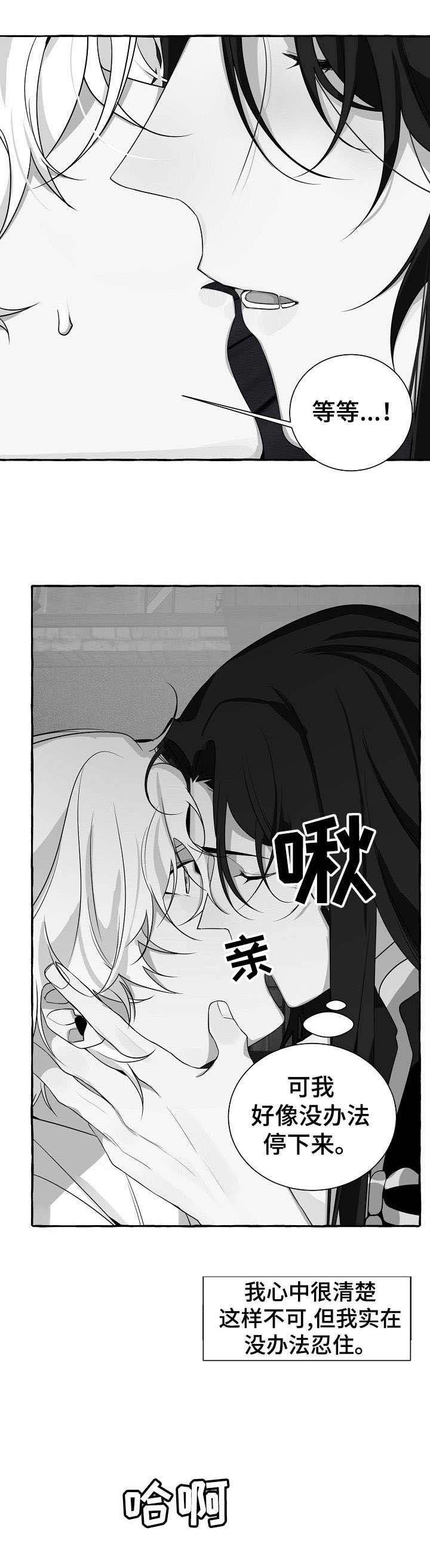 第17章：感觉