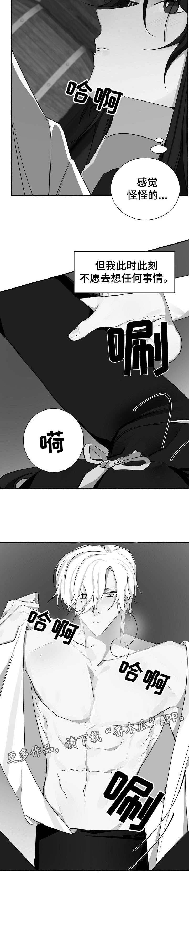 第17章：感觉