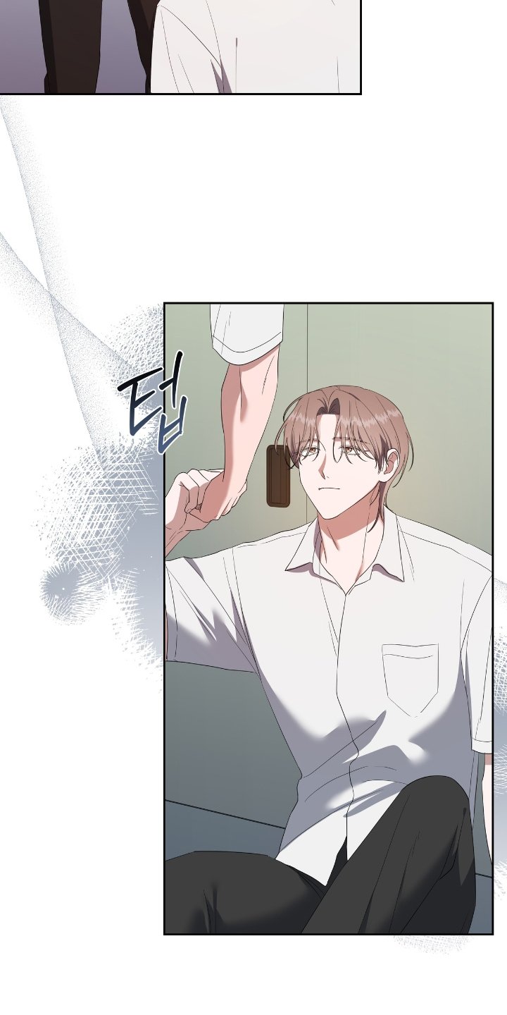 第29章：发现