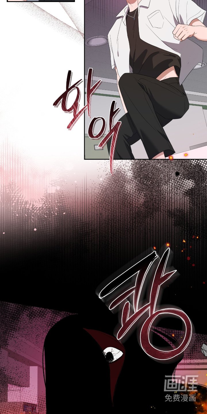 第29章：发现