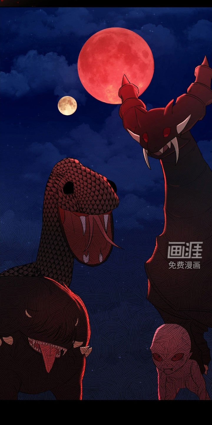 第41章：注定的解决