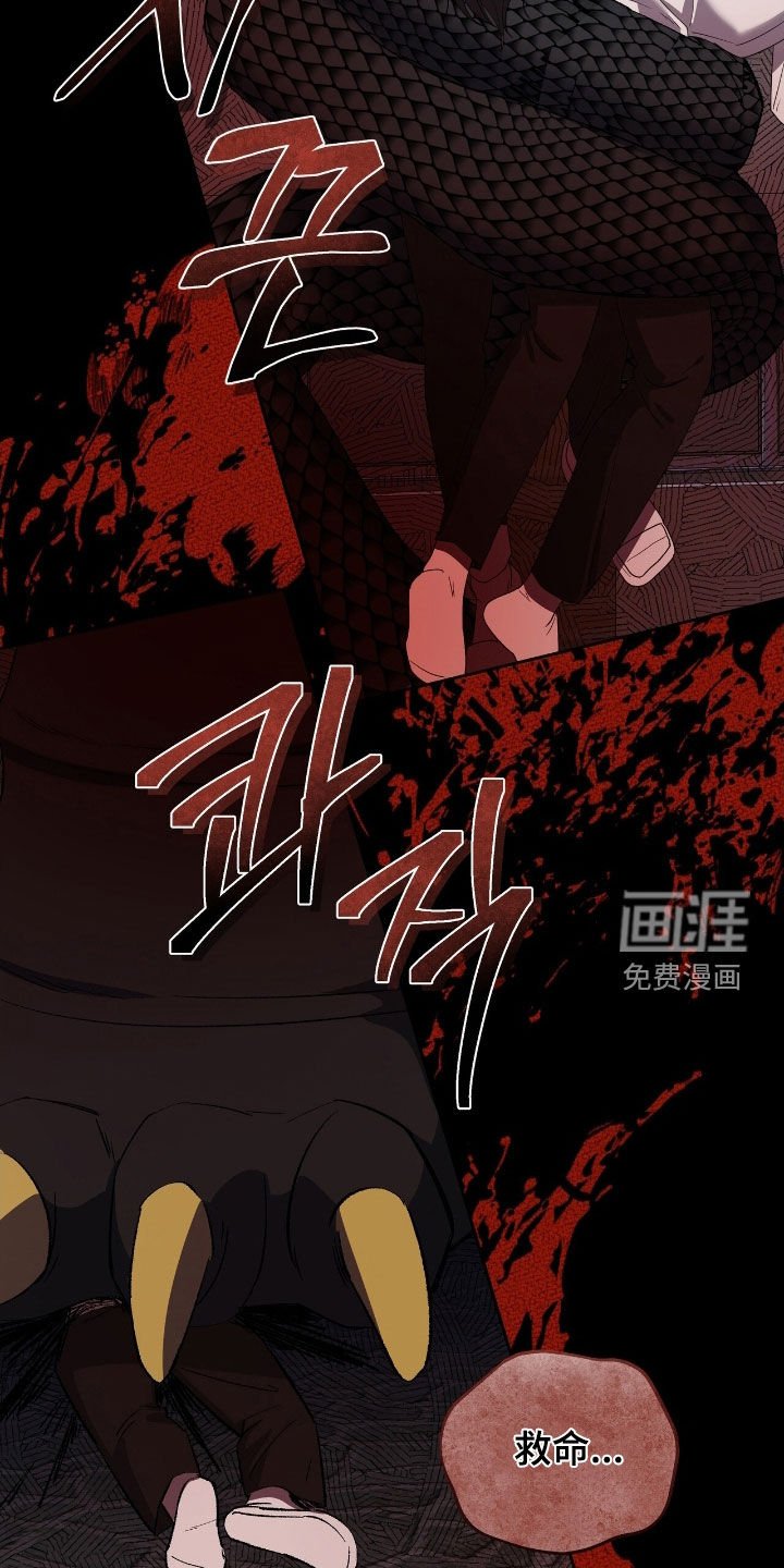 第41章：注定的解决