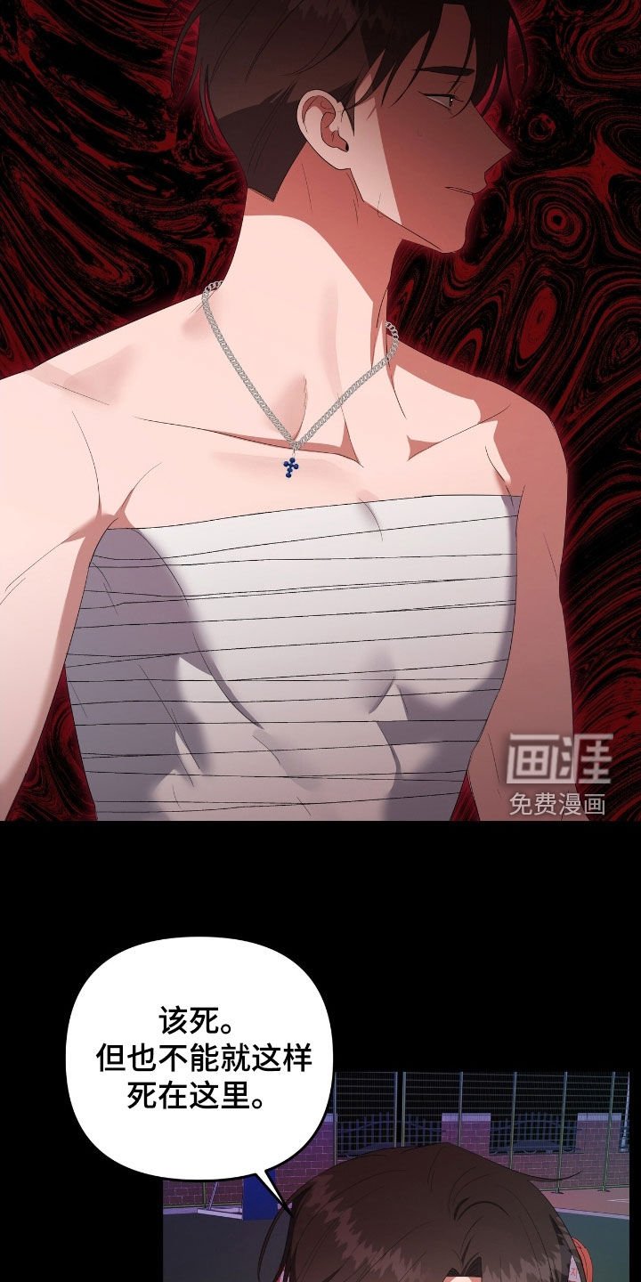 第41章：注定的解决