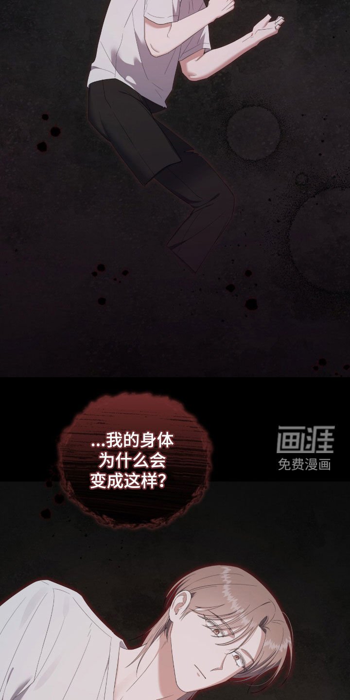 第62章：怪物的新世界