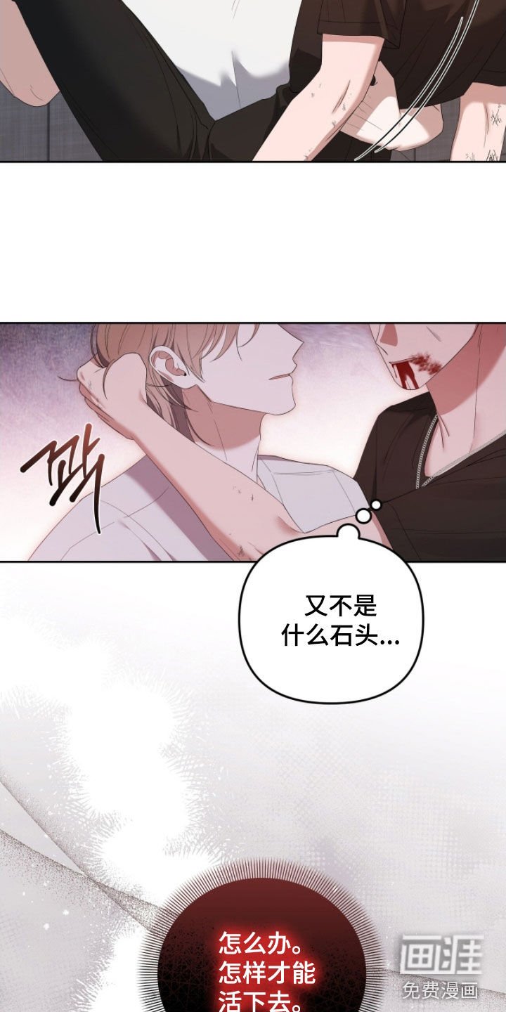第67章：预见梦