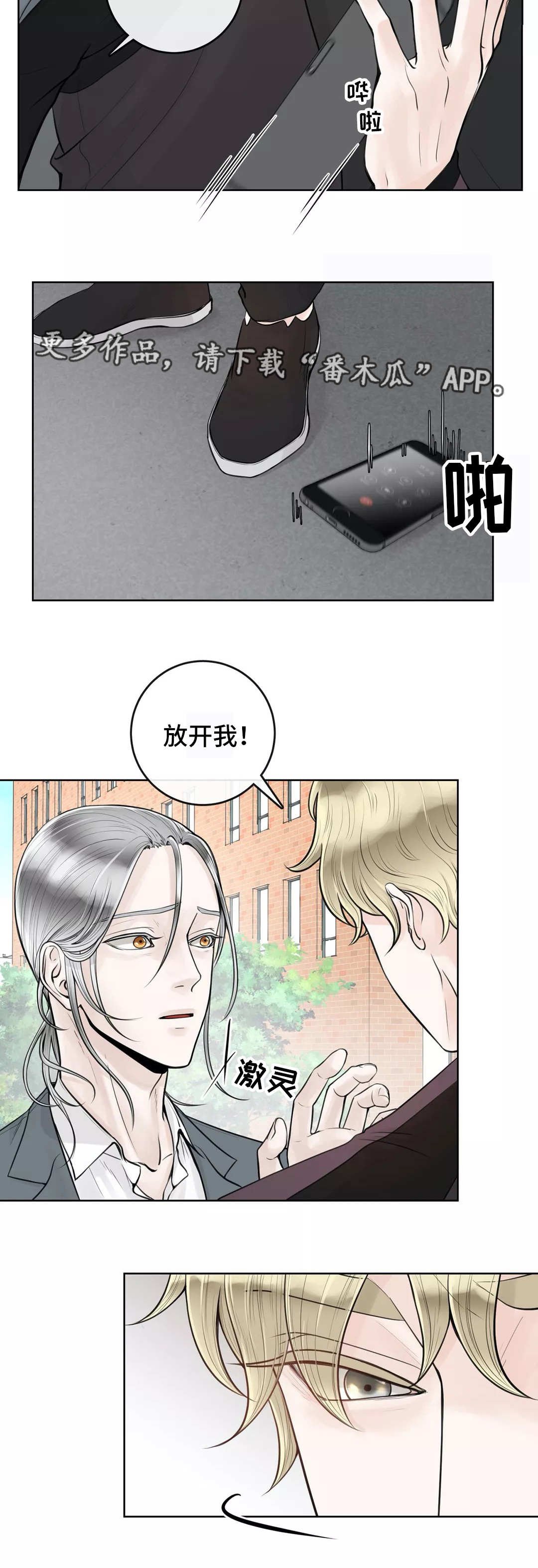 第11章：排斥反应