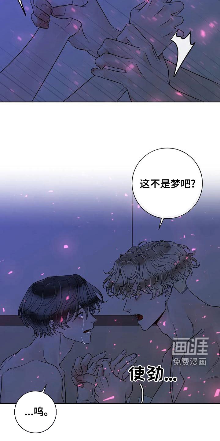 第116章：【番外】像梦一样
