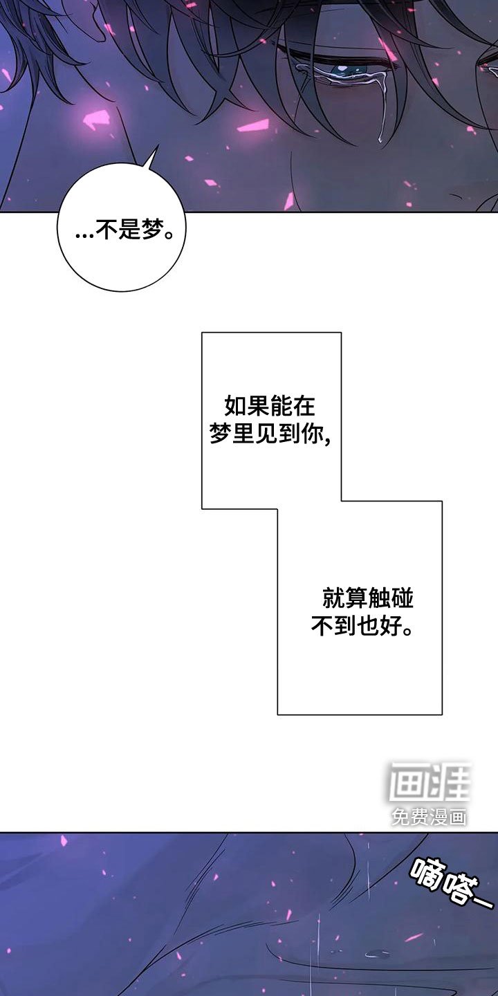 第116章：【番外】像梦一样
