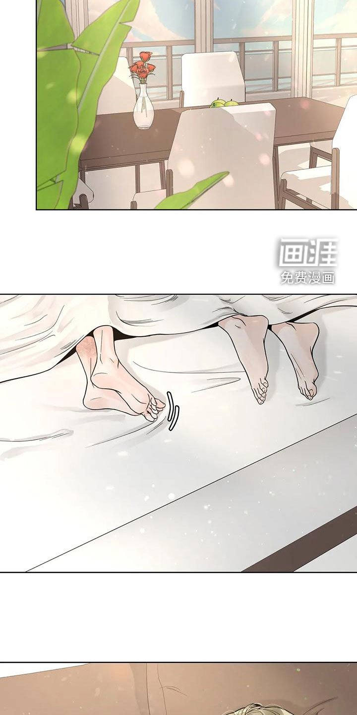 第116章：【番外】像梦一样