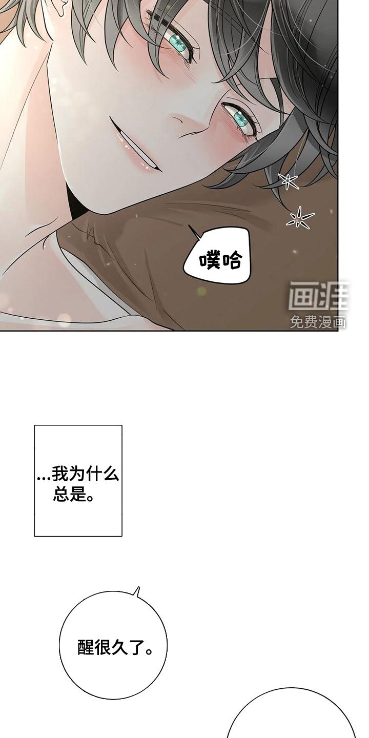 第116章：【番外】像梦一样