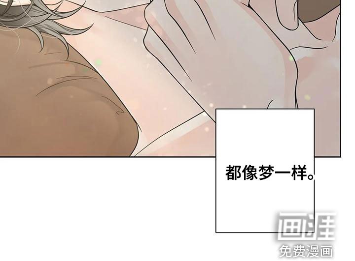 第116章：【番外】像梦一样
