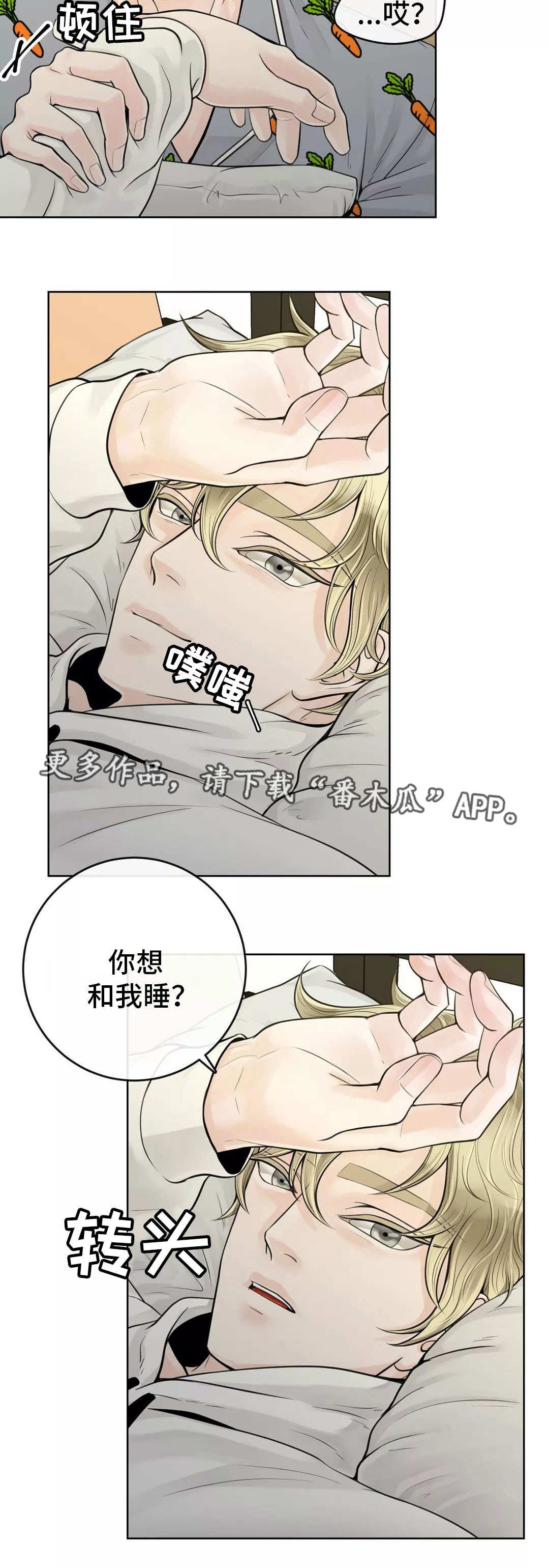 第28章：隐瞒什么
