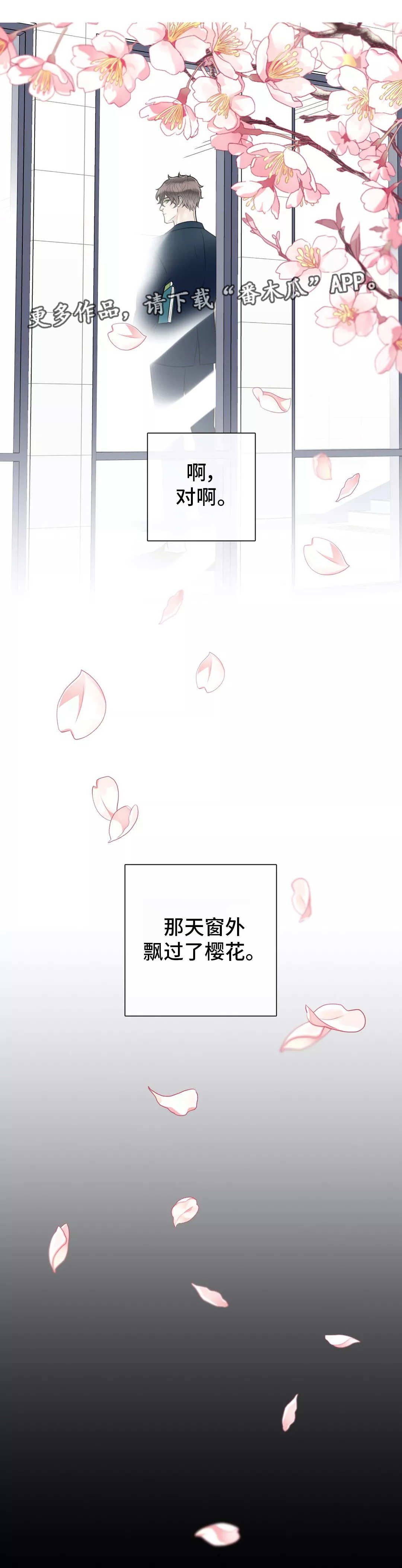 第31章：那件事情