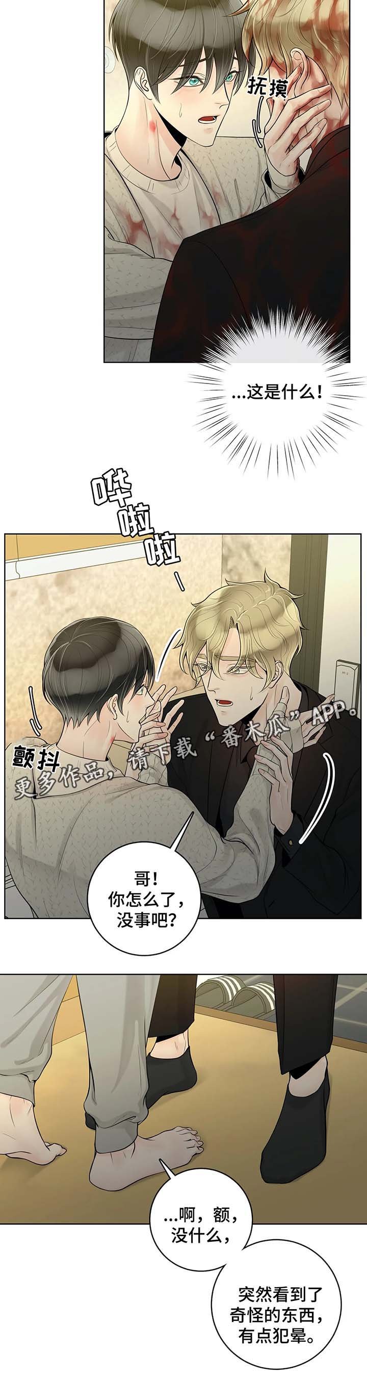 第47章：奇怪的东西