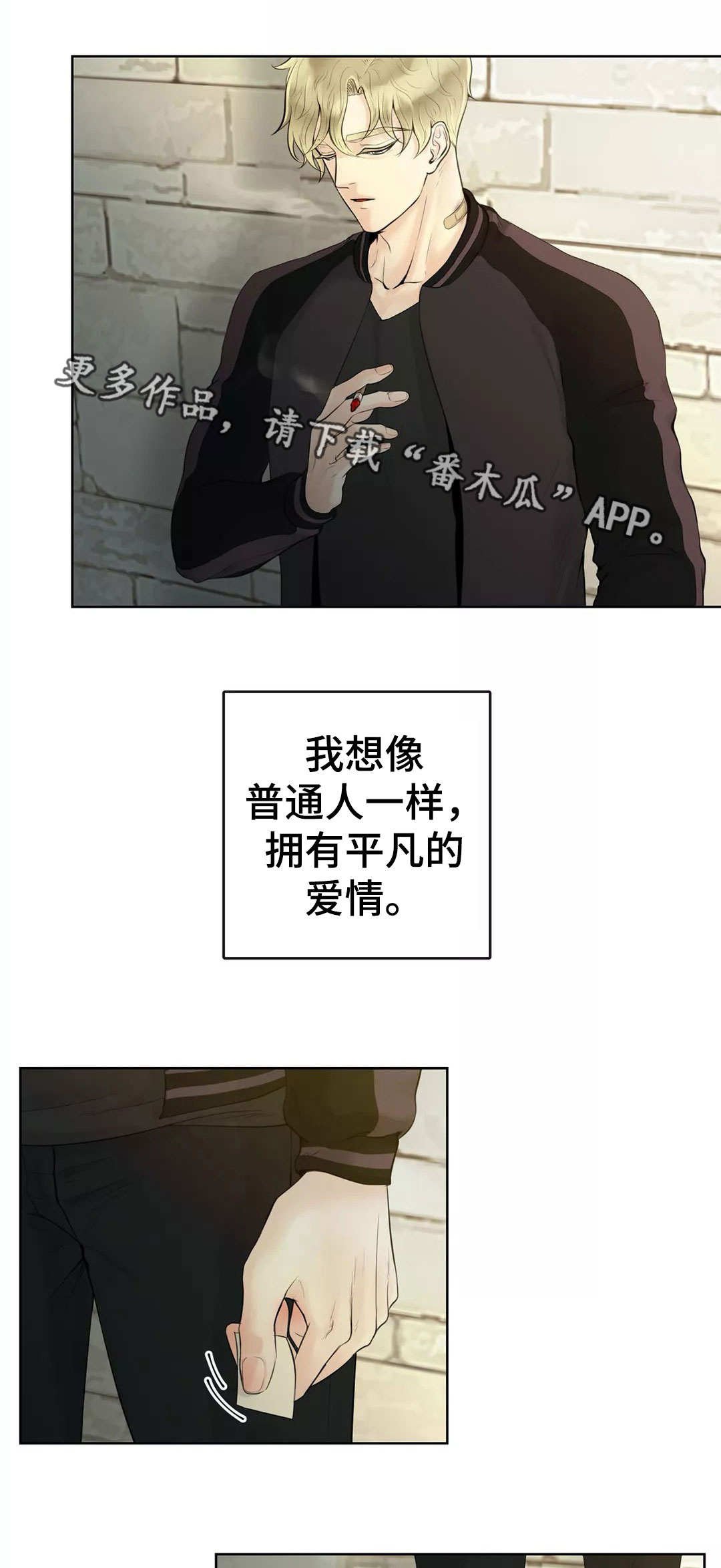第5章：如你所见