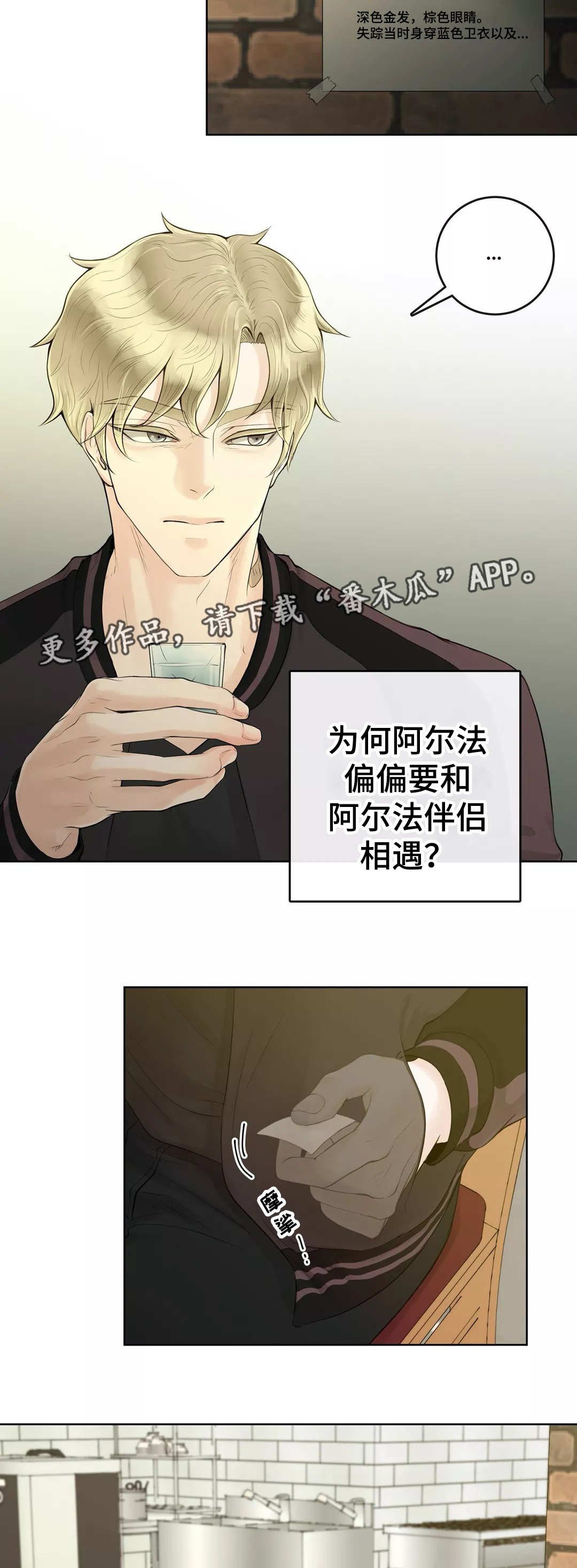第5章：如你所见