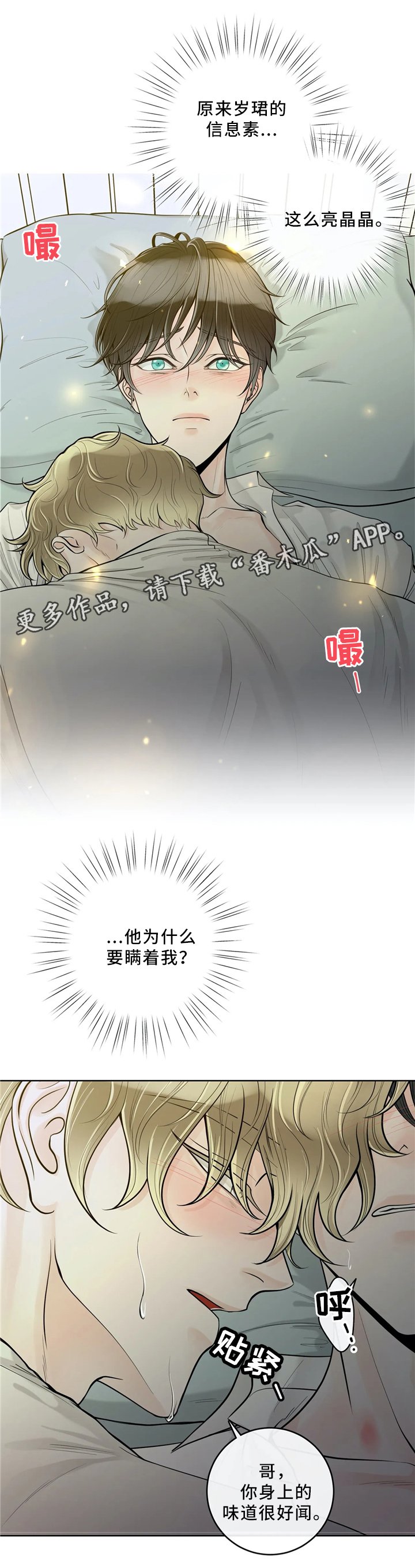 第52章：提前准备