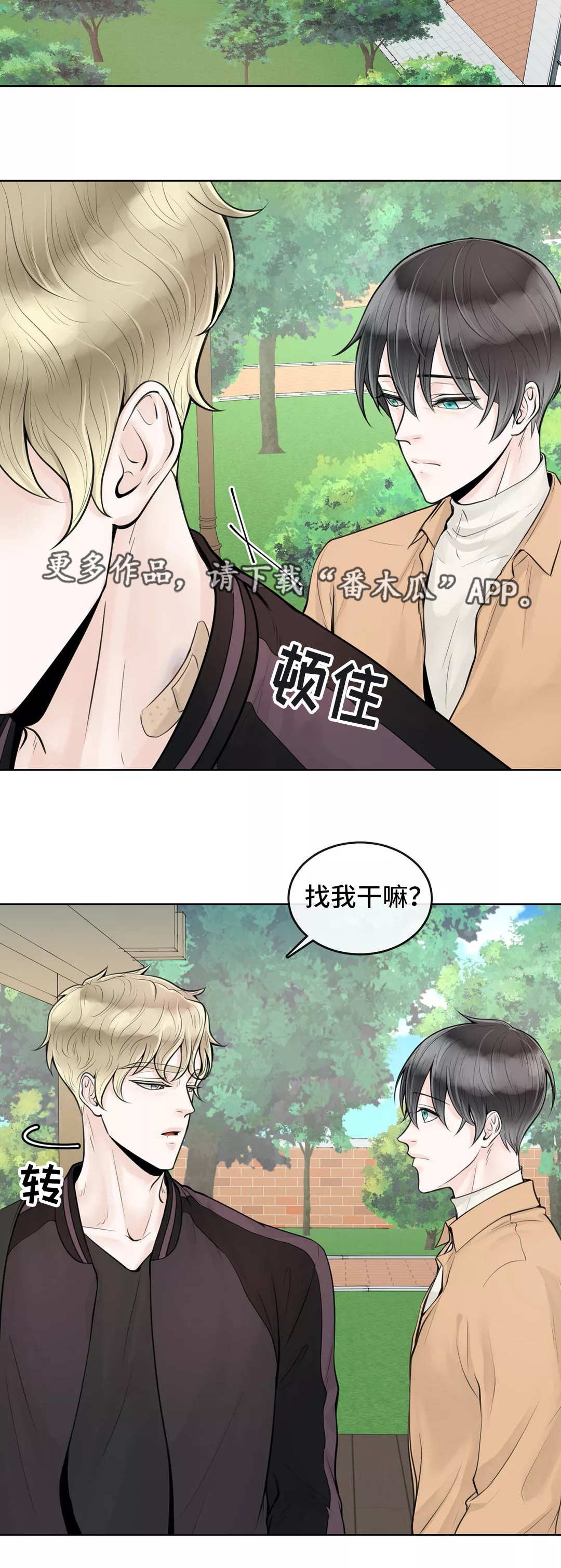 第9章：不懂装懂